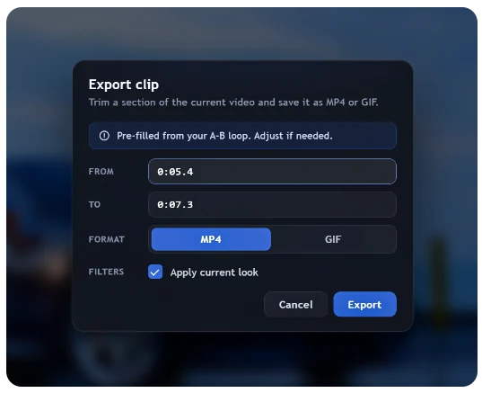 Export clip dialog with MP4 / GIF options